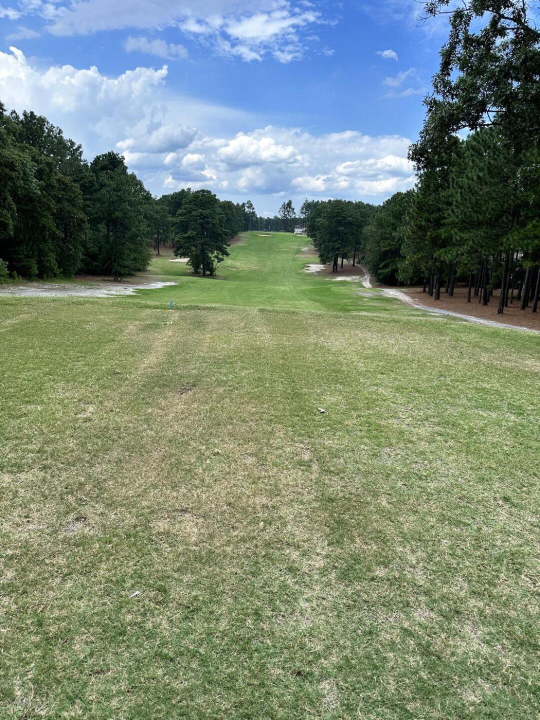 (Photo submitted by u6687178 on 07/23/2023)