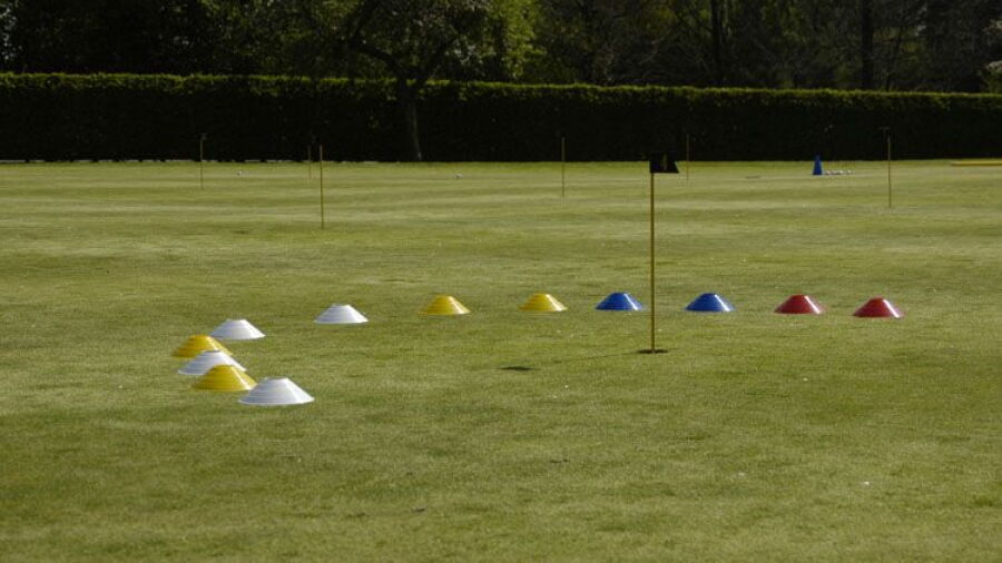 Haus Bey GC: Practice area