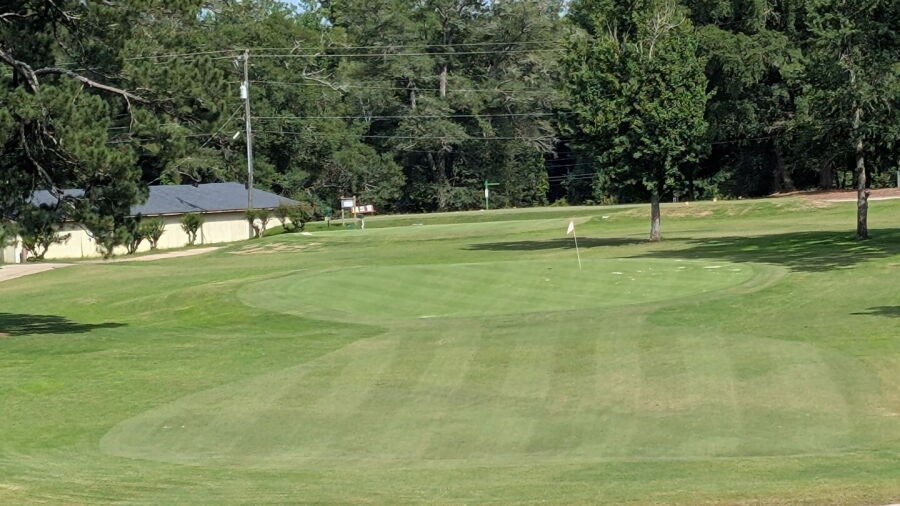 Pine Needles CC