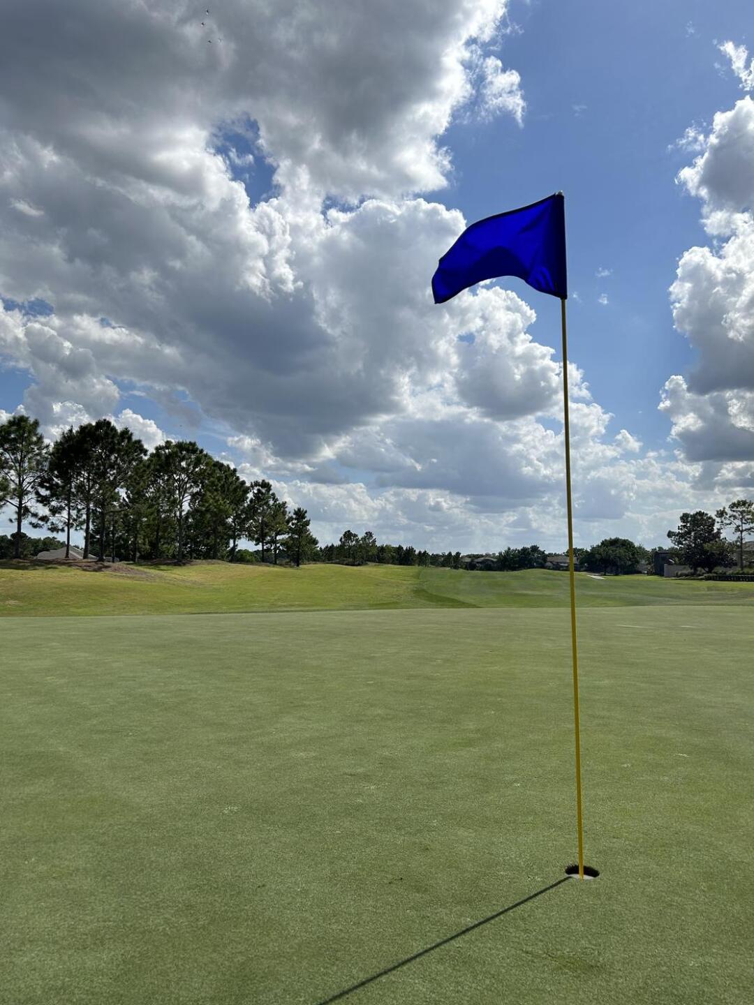 (Photo submitted by stevepk on 04/01/2023)