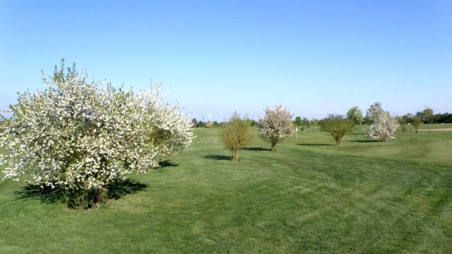 Straubing Stadt G & CC – Short