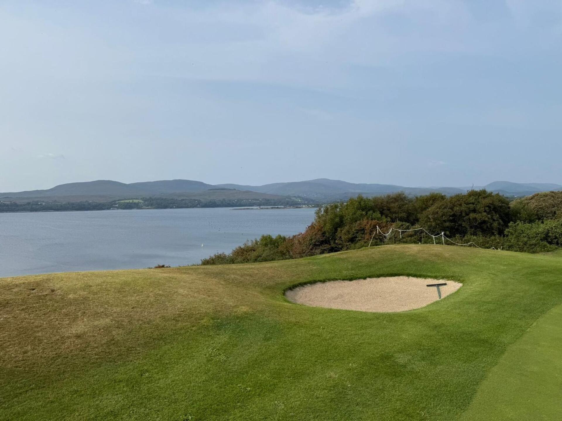 (Photo submitted by 55HjLkKE6J3v1ie7zvgP on 08/15/2025)