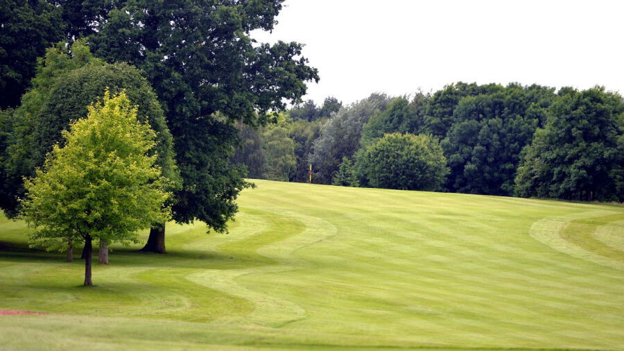 Ingestre Park GC: #7