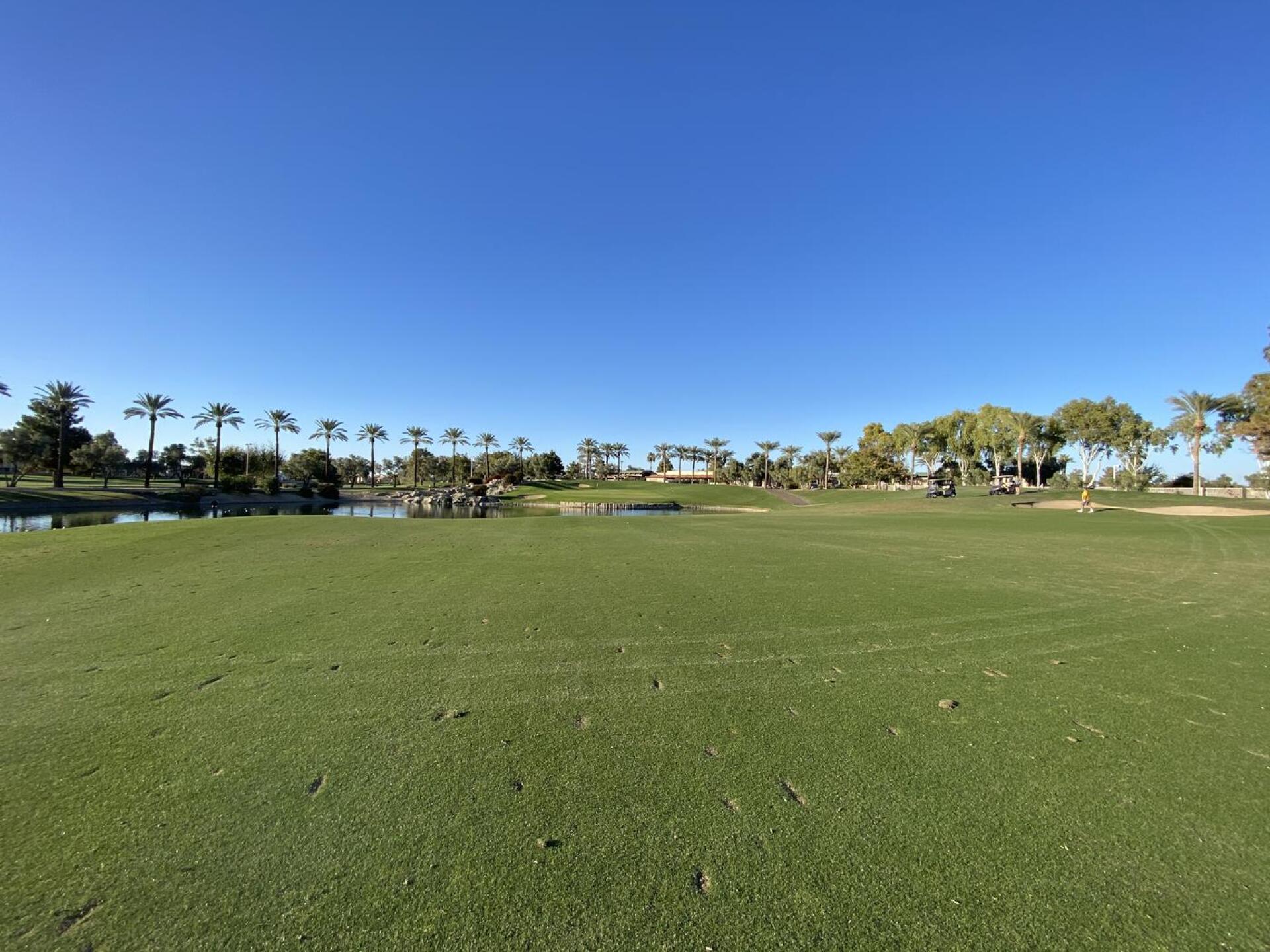 (Photo submitted by Ron5819331 on 02/27/2021)