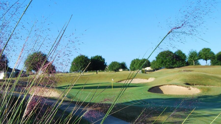 Black Bear GC