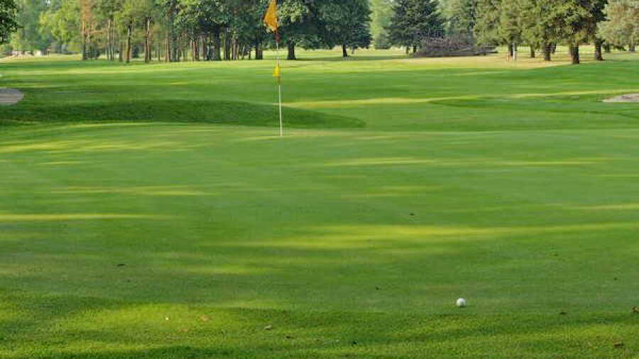 Gold at Pine Valley GC