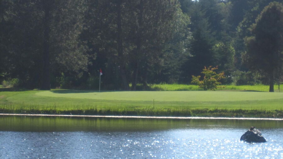 Useless Bay GCC: #7