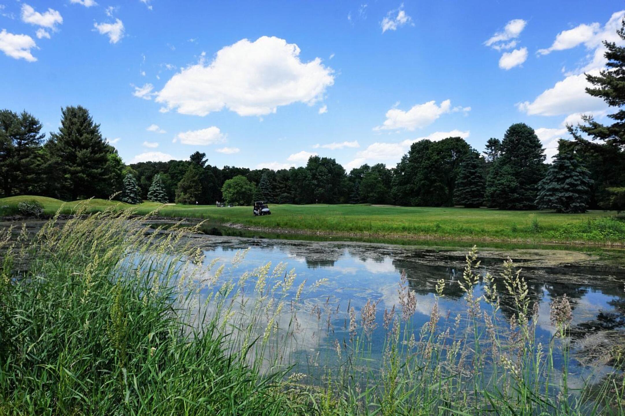 A pond bisects the seventeenth fairway, and may tempt big hitters to fly it off the tee–if their desire is a wedged approach. (Photo submitted by AptlyLinked on 06/05/2022)