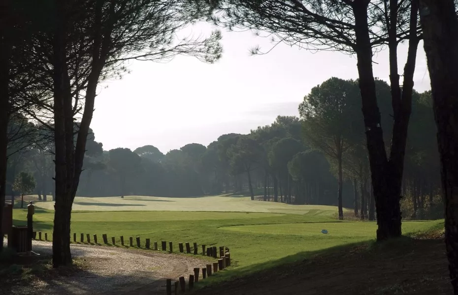Cornelia GC