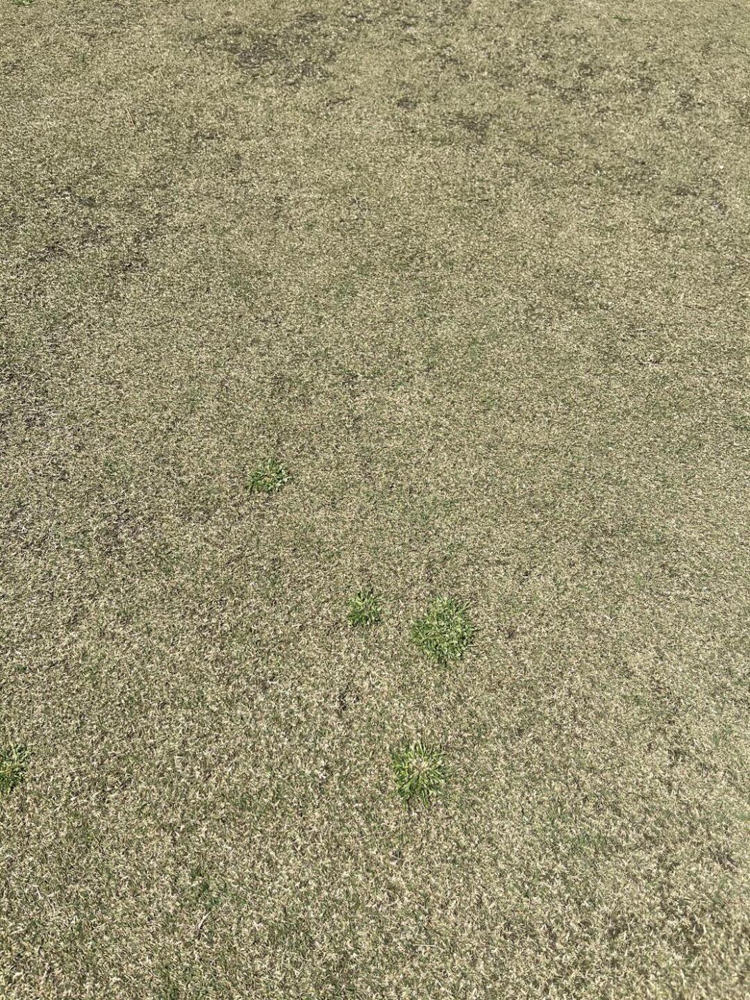 (Photo submitted by JLovins99 on 03/13/2021)