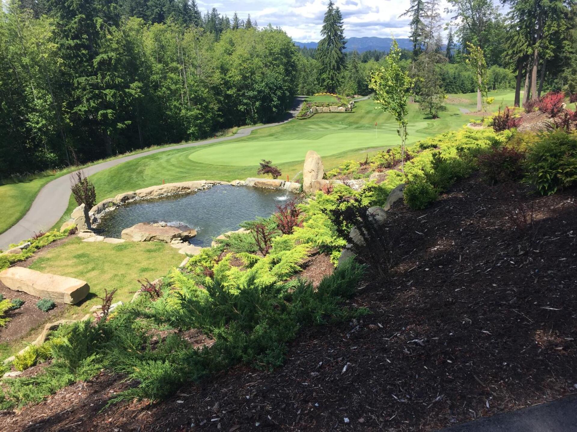 (Photo submitted by Jarla on 07/06/2020)