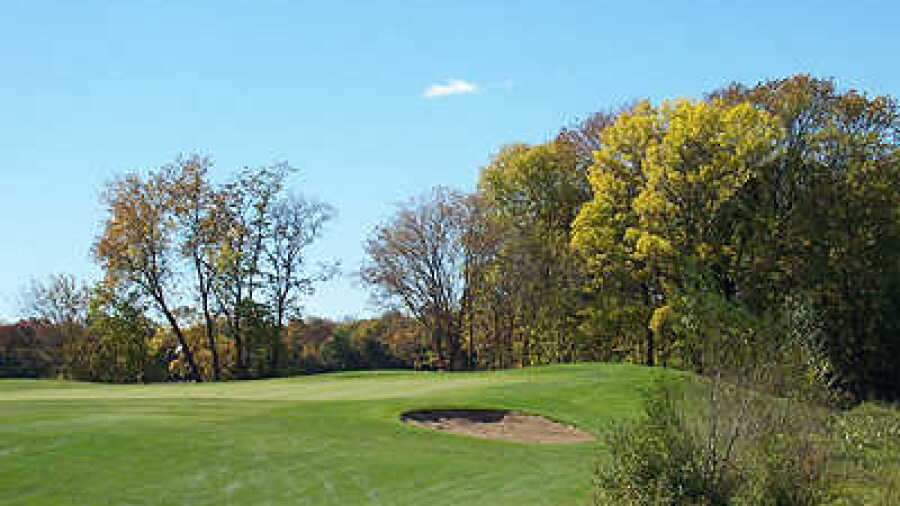Bulrush GC: #12
