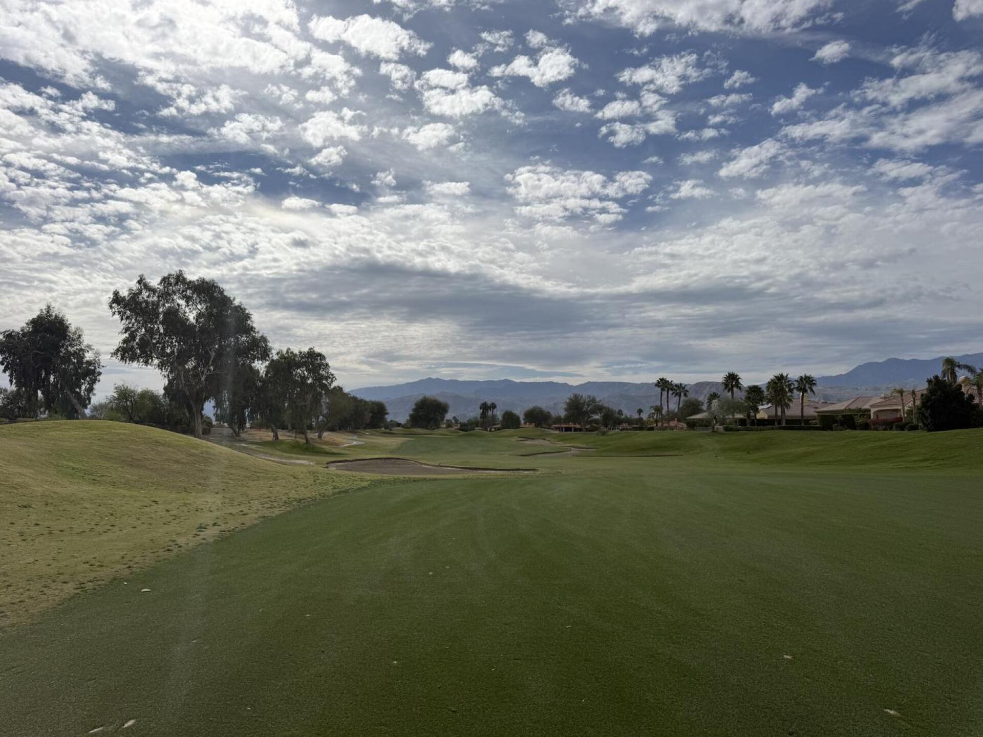 (Photo submitted by jeff2085026 on 02/05/2026)