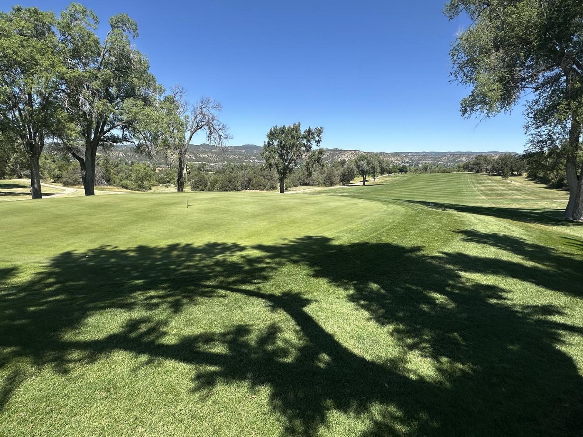 (Photo submitted by od6ETq7y1uGmkOx4eSY1 on 07/07/2025)