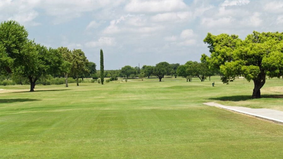 Leaning Pine GC: #2
