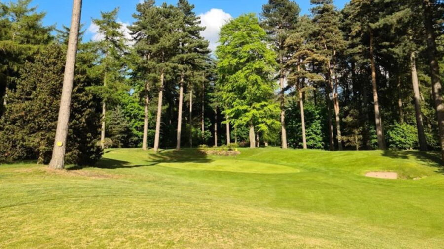 Forest Pines Hotel & Golf Resort