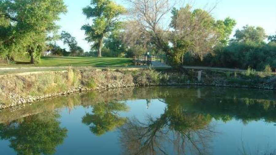 Fallon GC