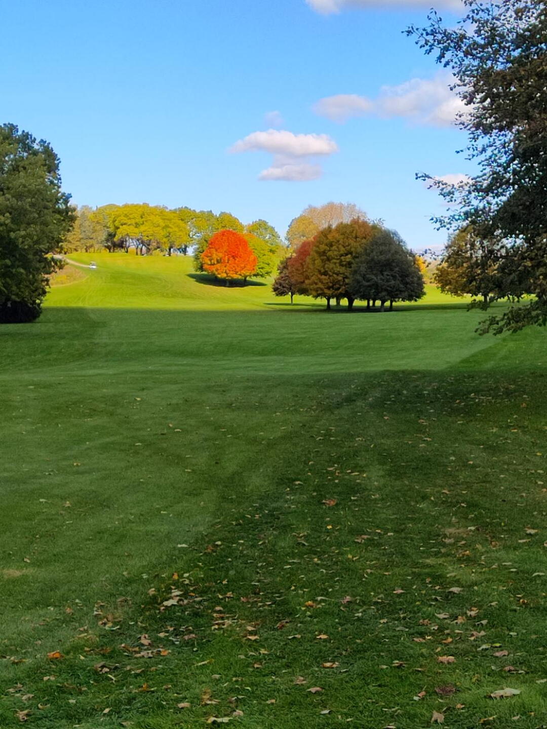 (Photo submitted by fas8253 on 10/26/2021)