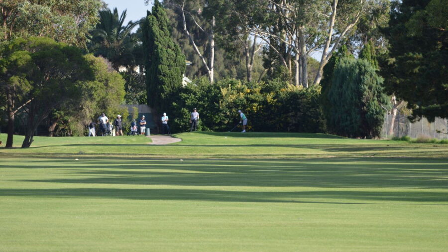 Rossdale GC