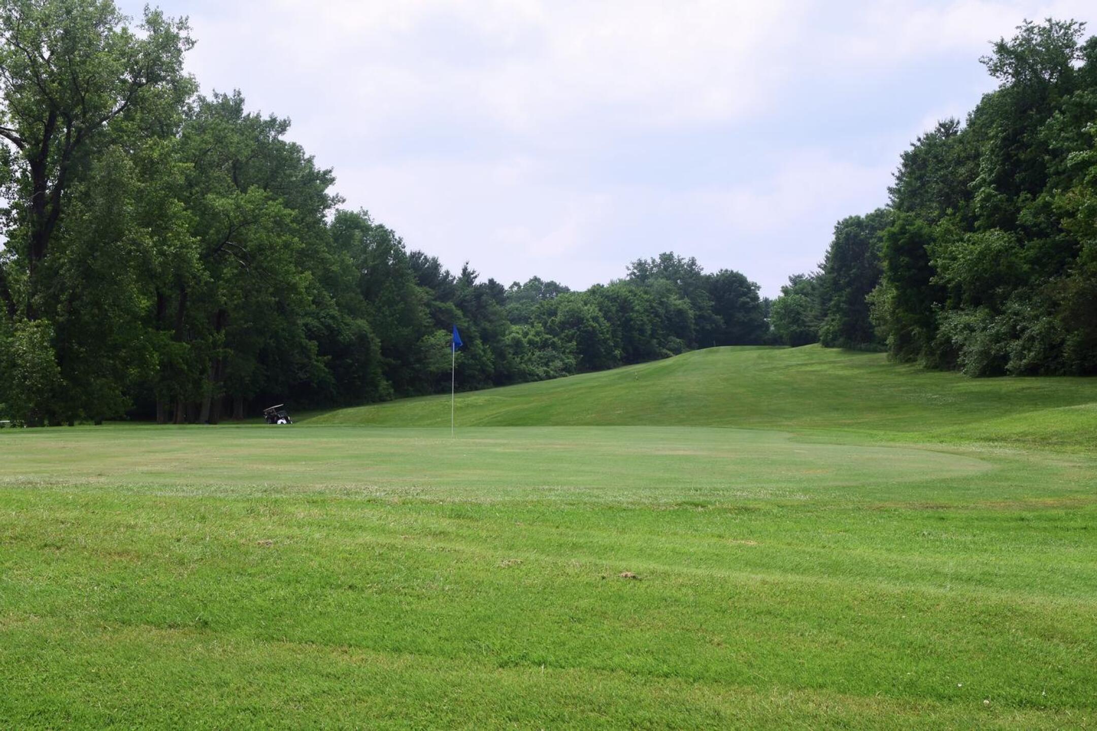 Ninth, par-4, 355: A look from behind its putting surface at this fun closing hole. (Photo submitted by AptlyLinked on 06/14/2025)