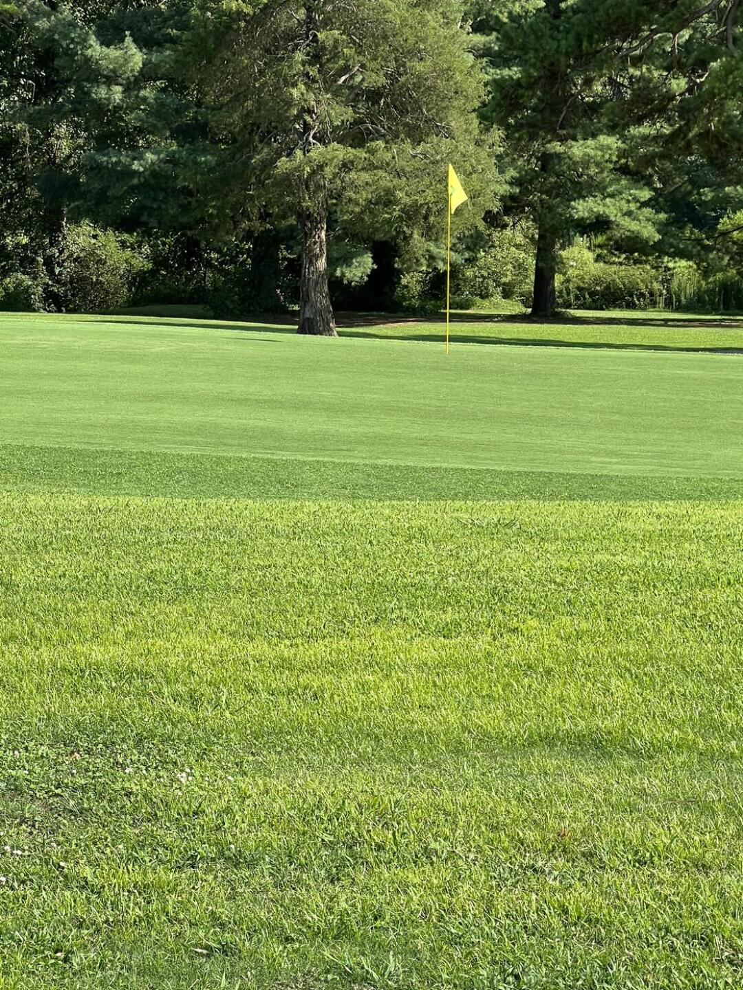 (Photo submitted by cunAvSGCbJLfxBezHPV8 on 08/15/2023)