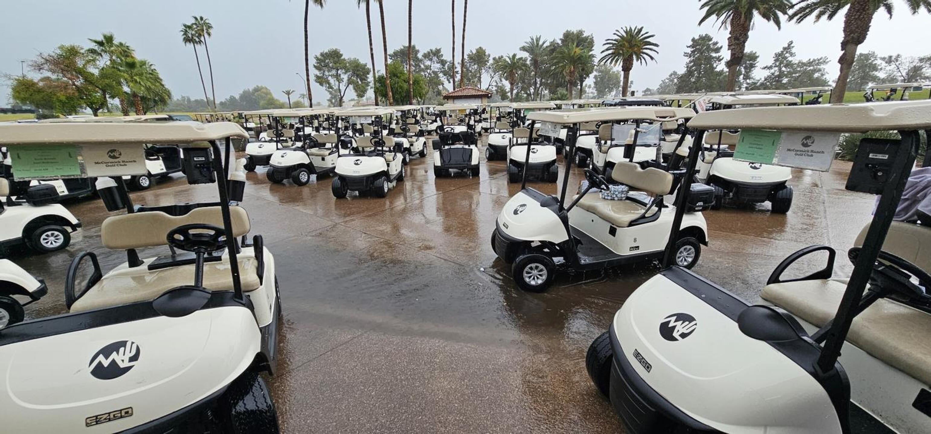 (Photo submitted by GKing77098 on 03/20/2024)