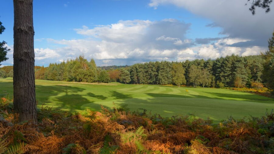16th green at Tilgate Forest