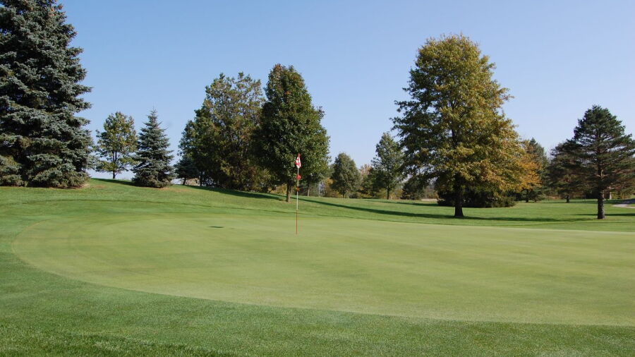 Bluffton GC