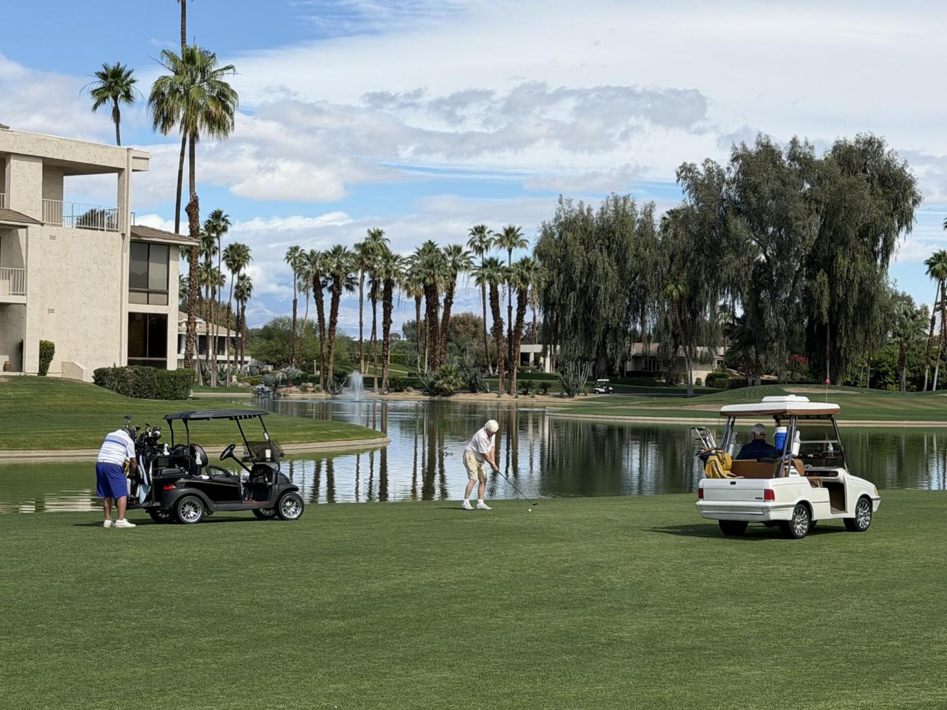 Photo (Photo submitted by DtA9aYSM6hRgdgvip4tC on 04/12/2026)