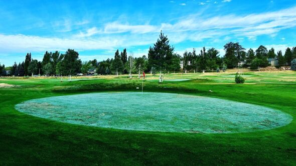 Timberline Short Nine