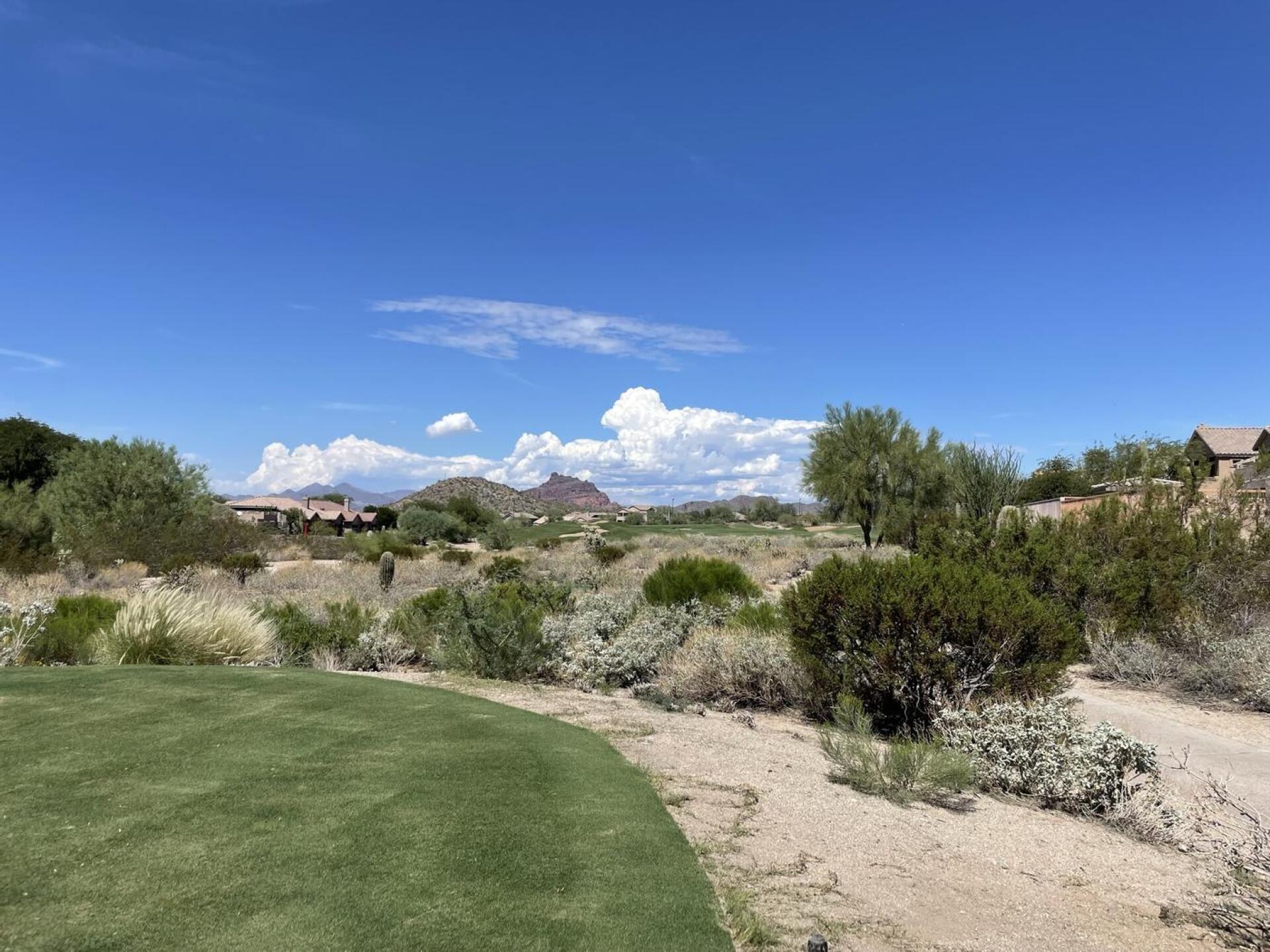 (Photo submitted by 4ssjcNaZ5A2Pfvdx5lbL on 09/25/2022)