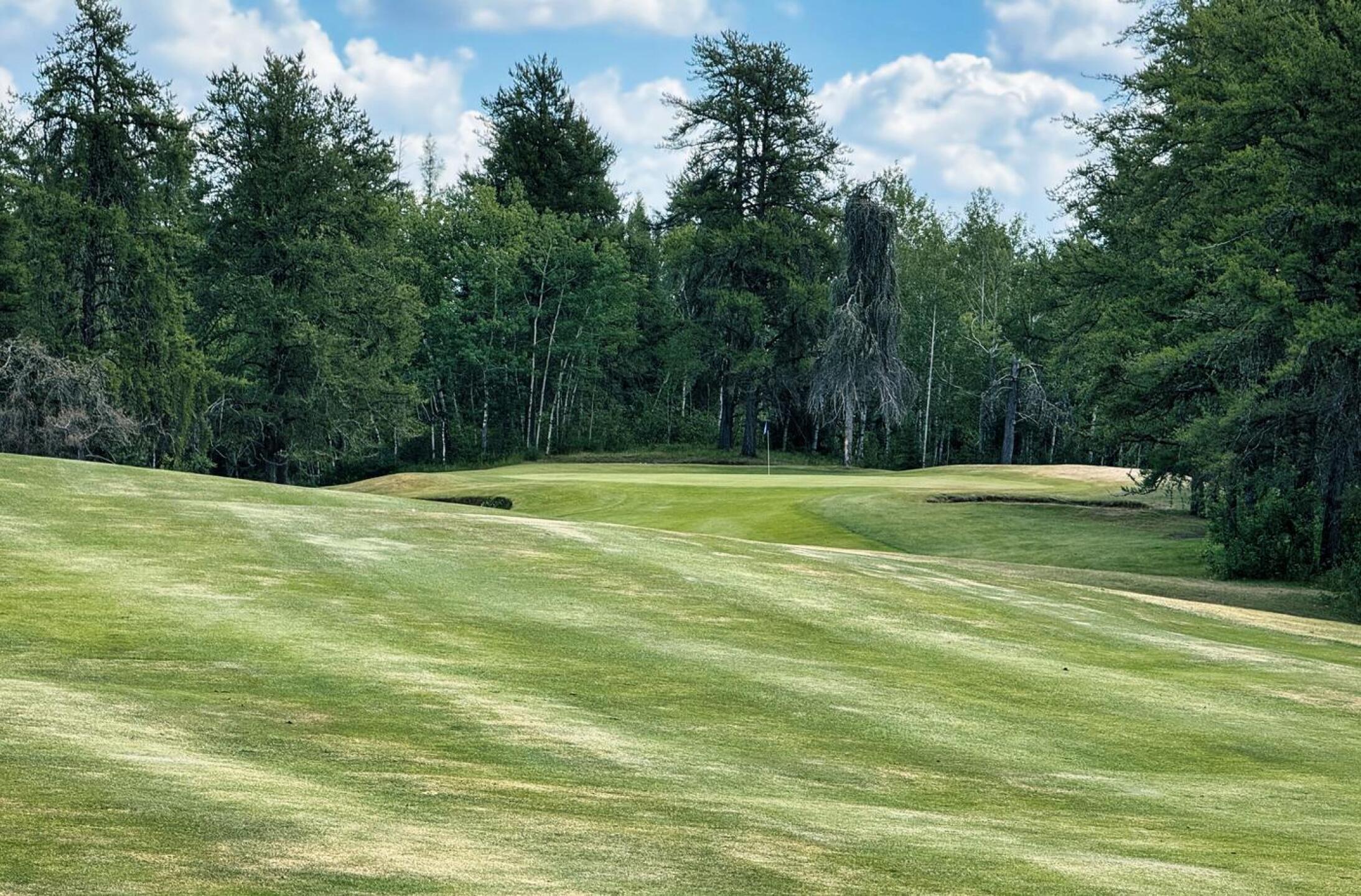 Cold Lake G&WC, Hole 12, Par 5, 490 yds, 180 yds out (Photo submitted by DYakimec on 08/03/2025)