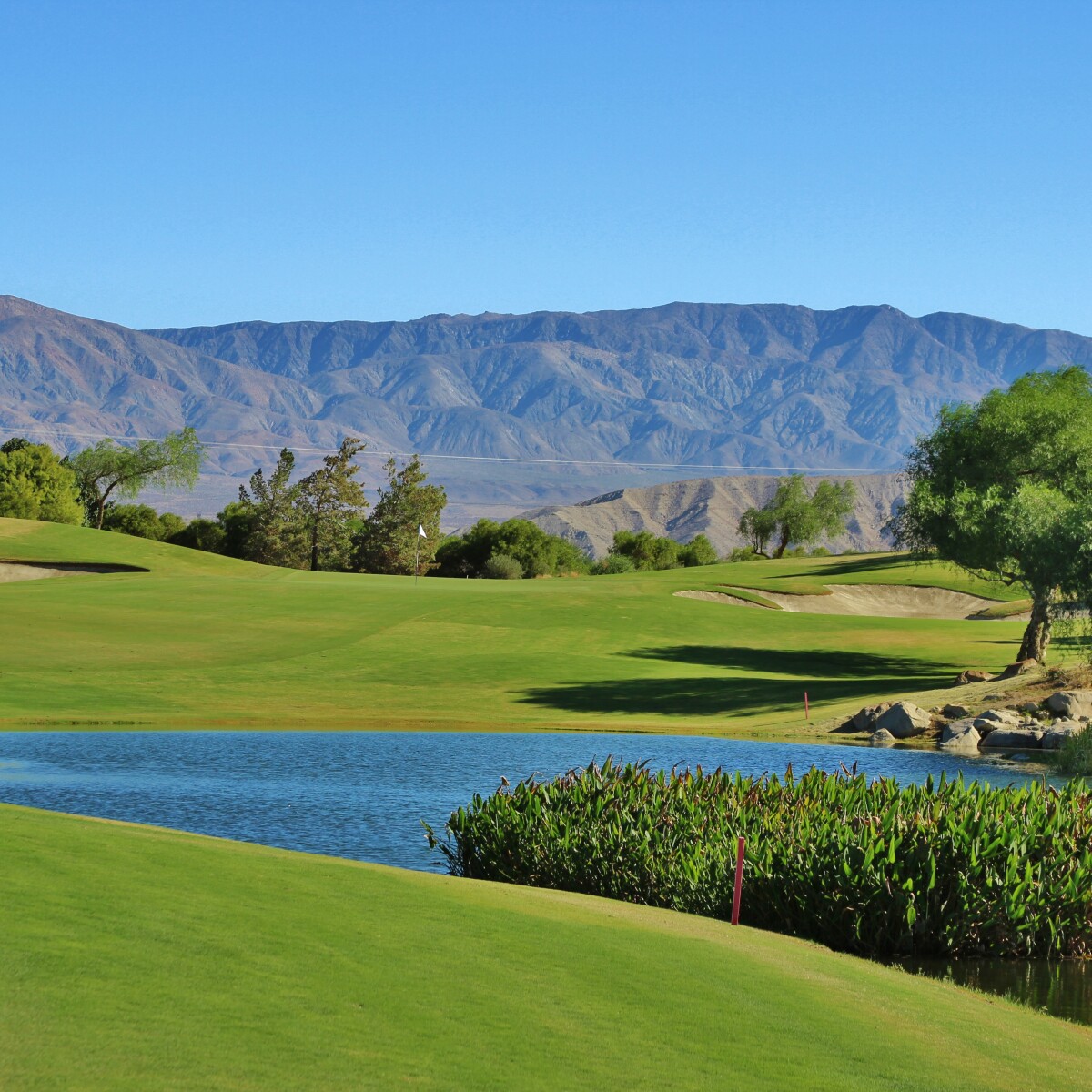 The Classic Club in Palm Desert Simply a classic California Golf