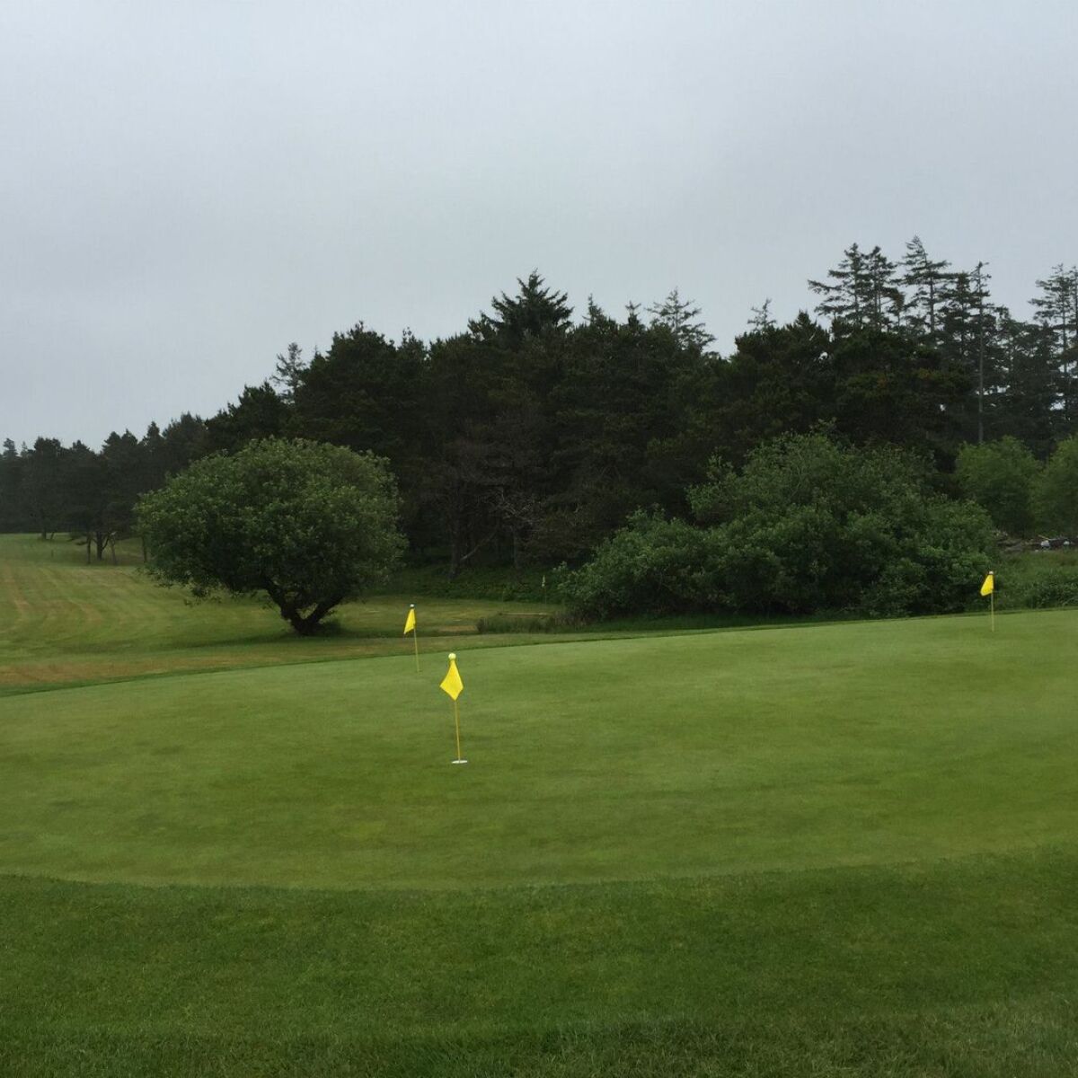 Manzanita Links in Manzanita, Oregon, USA Golf Advisor
