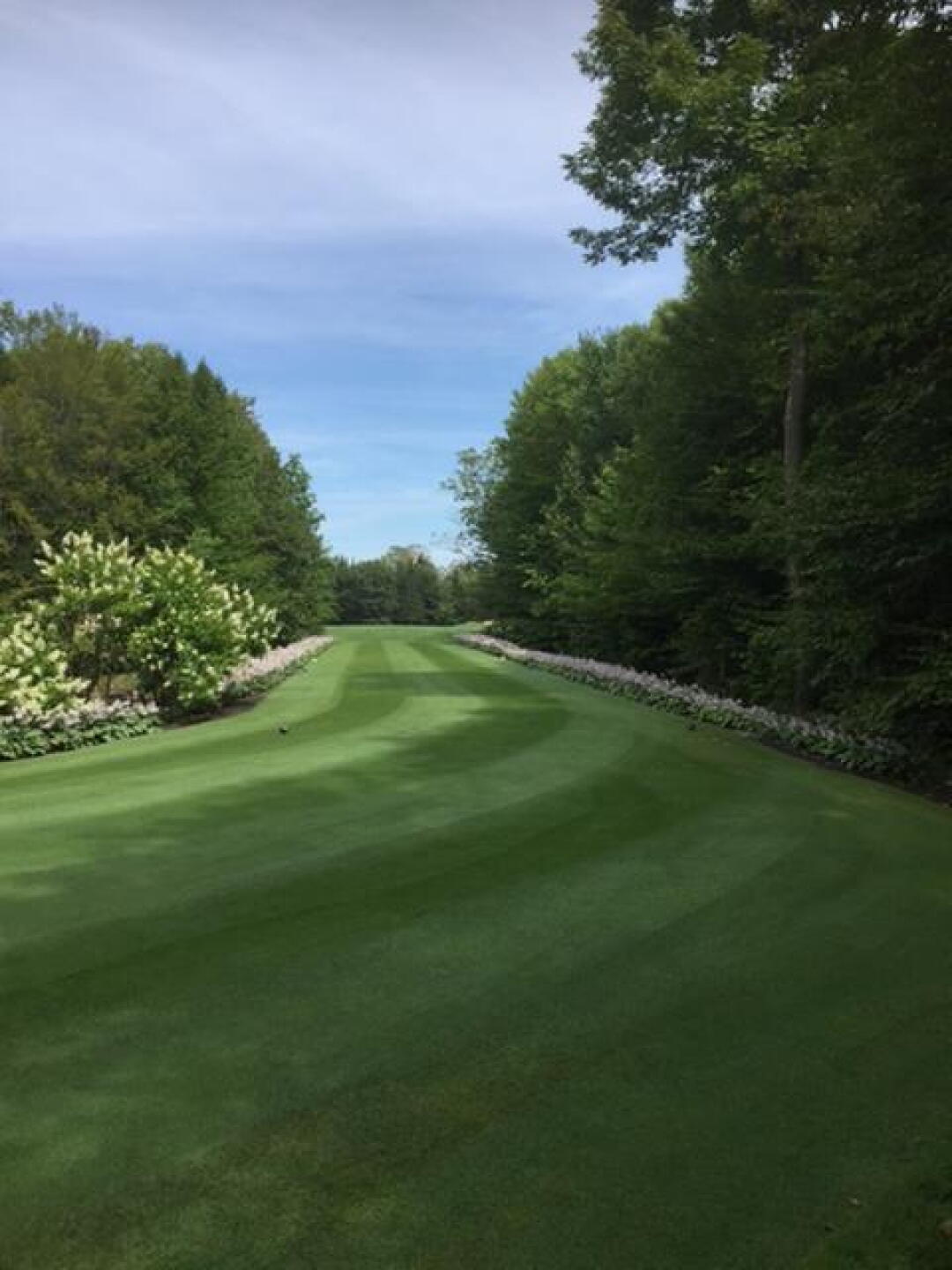 Tee box lined with Hostas, pristine (Photo submitted by u9865317 on 03/22/2018)