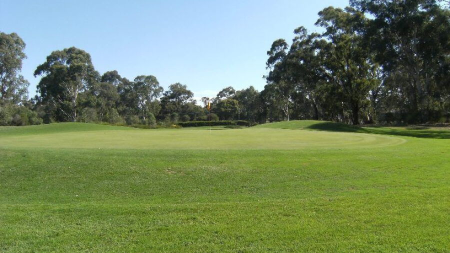 Bendigo GC: #12