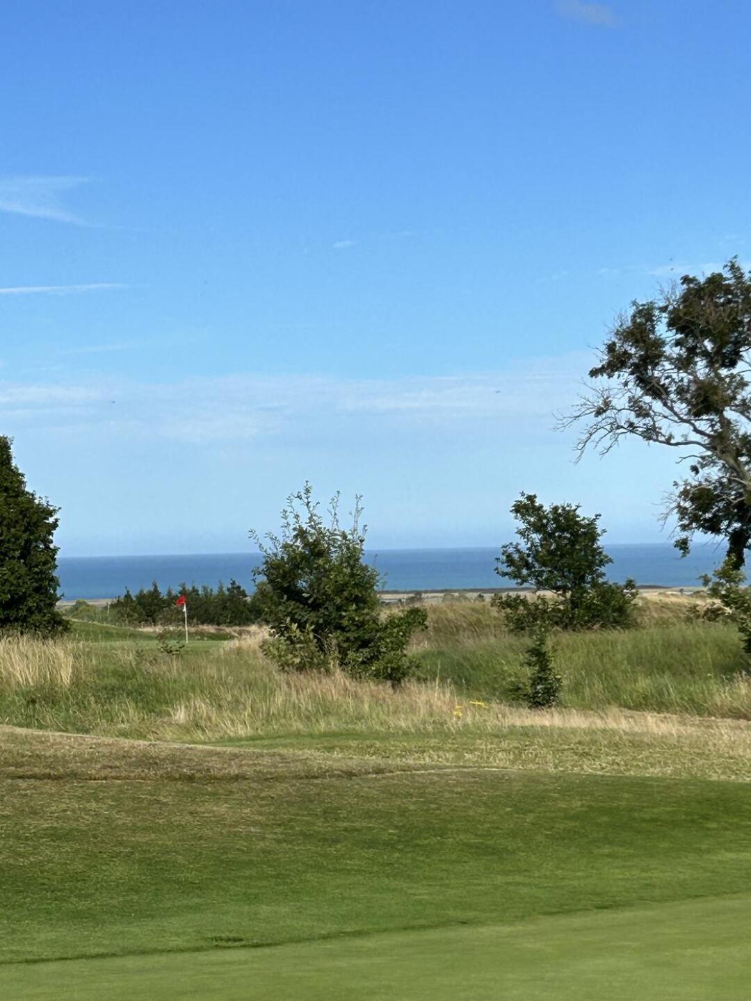 (Photo submitted by Mckiver1 on 08/19/2024)