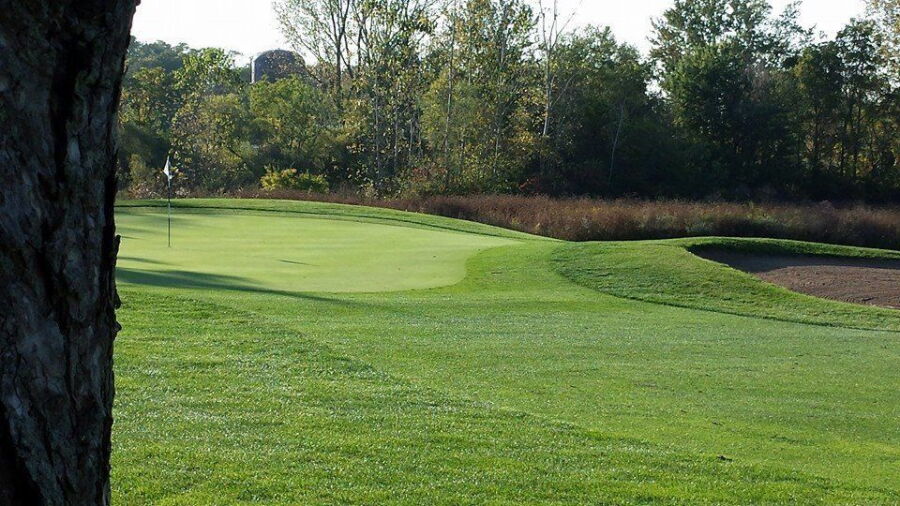 Reid Memorial Park GC