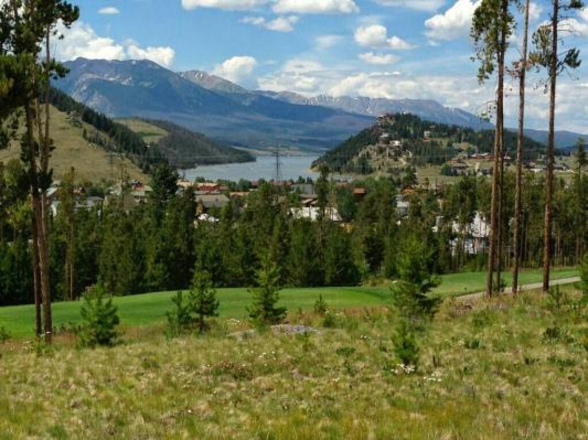 (Photo submitted by Kimmy2652810 on 08/04/2014)