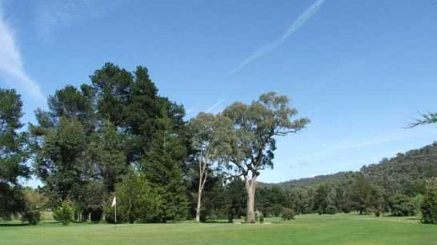 Myrtleford GC: #8
