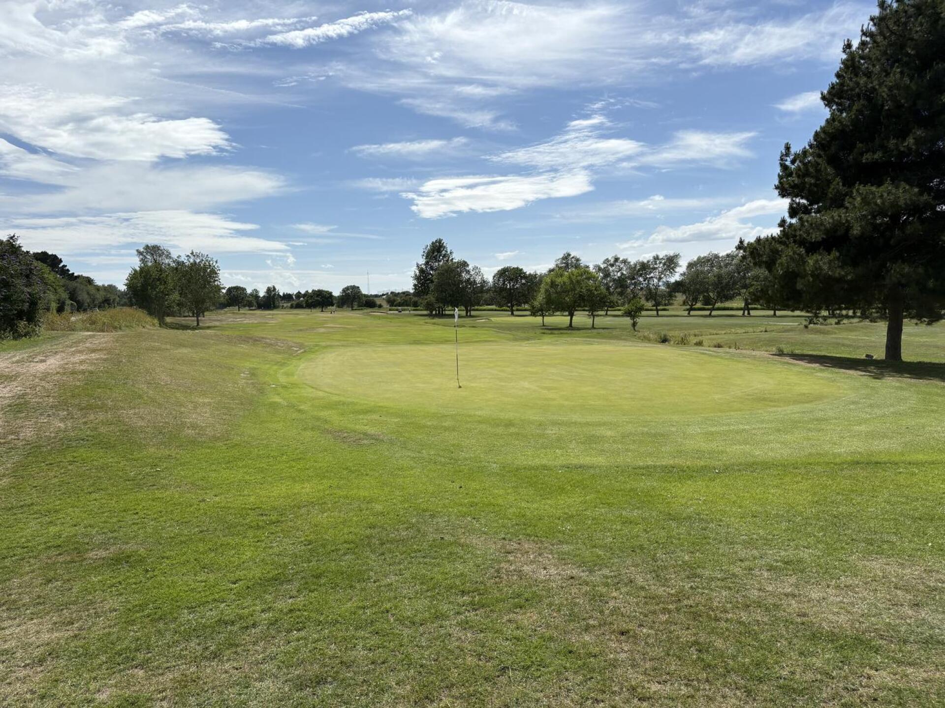 (Photo submitted by u314160119924 on 06/27/2025)