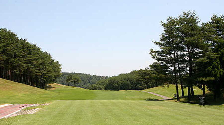 Forest CC - East: #1