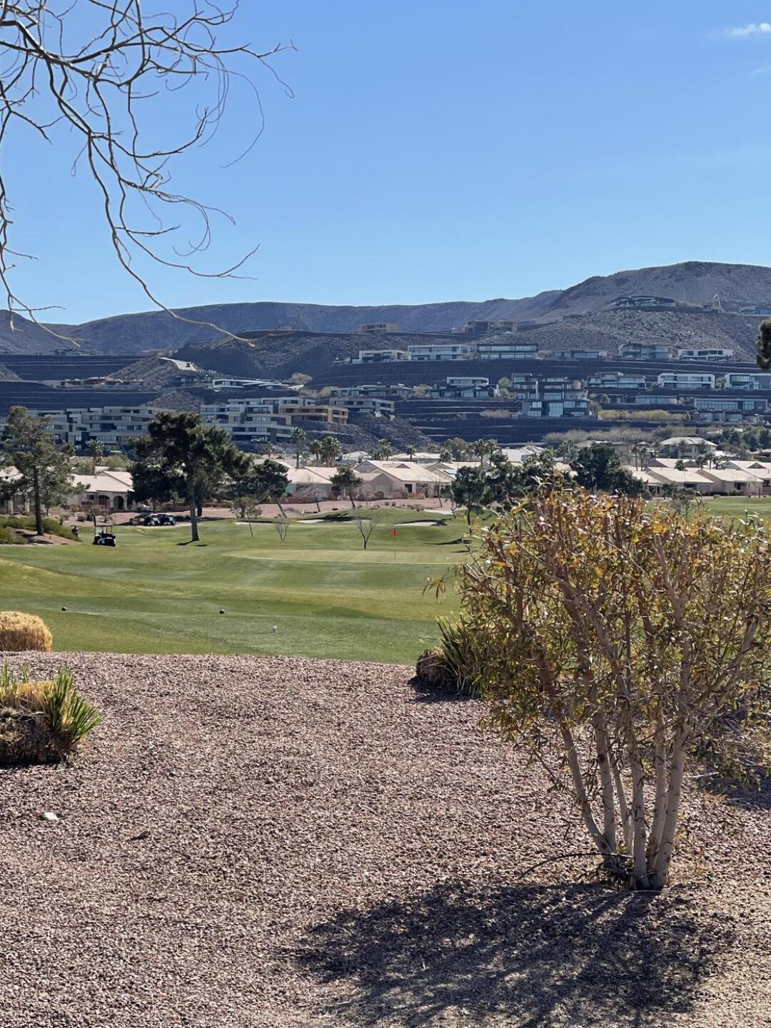 (Photo submitted by u314160302746 on 03/04/2023)