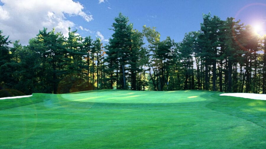 Honey Run GCC: #8