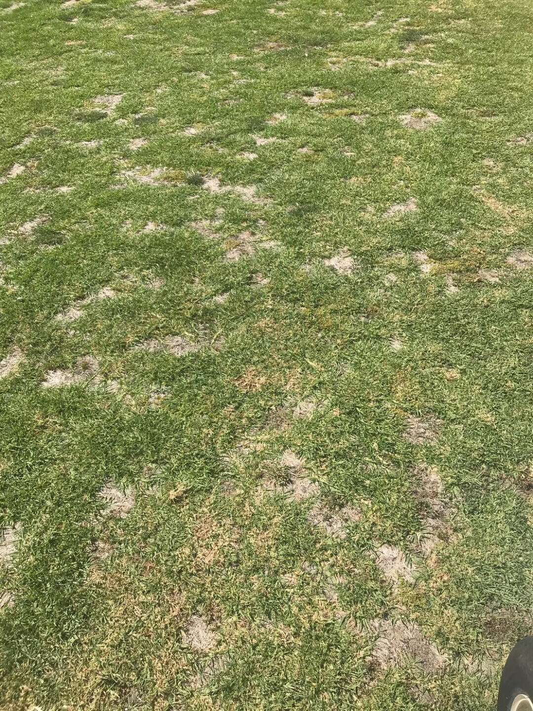Fairway?? (Photo submitted by varadarajansriram on 06/25/2020)