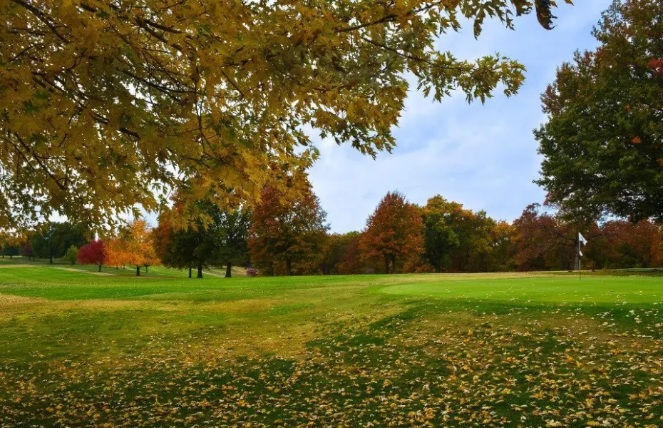 Dogwood Hills Golf Resort