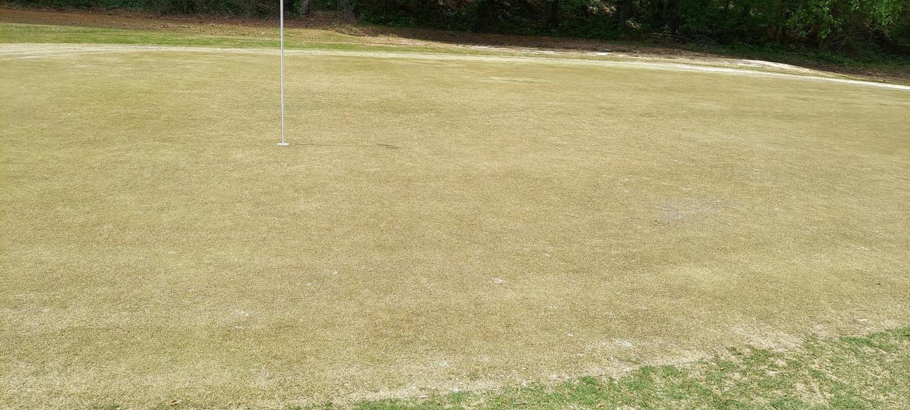 (Photo submitted by u621076289 on 04/23/2022)