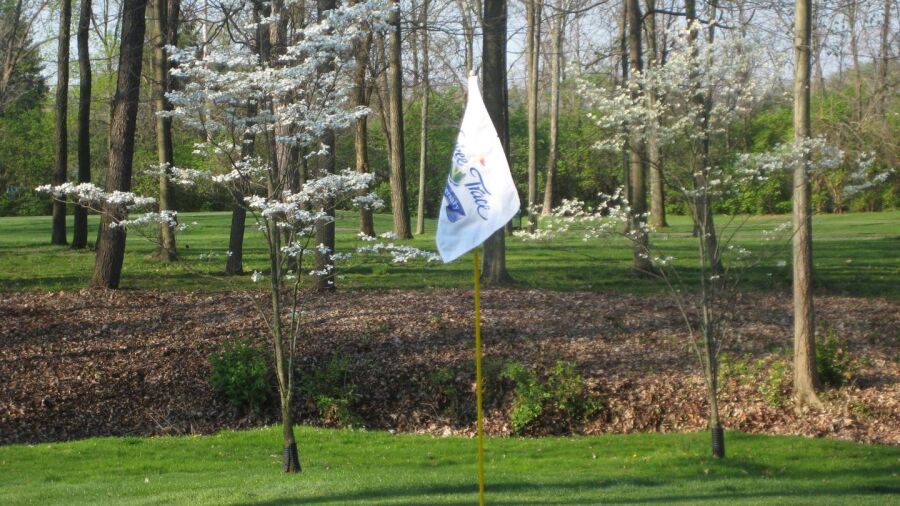 GC at Yankee Trace