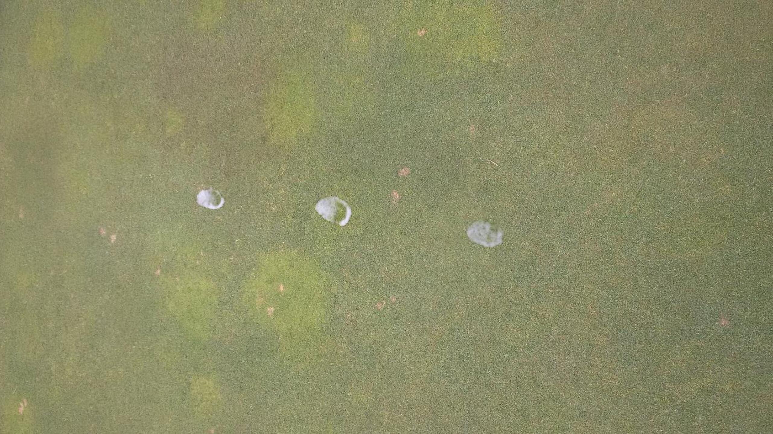 White globs from groundskeeper on #14 (Photo submitted by erikfrye on 06/22/2015)