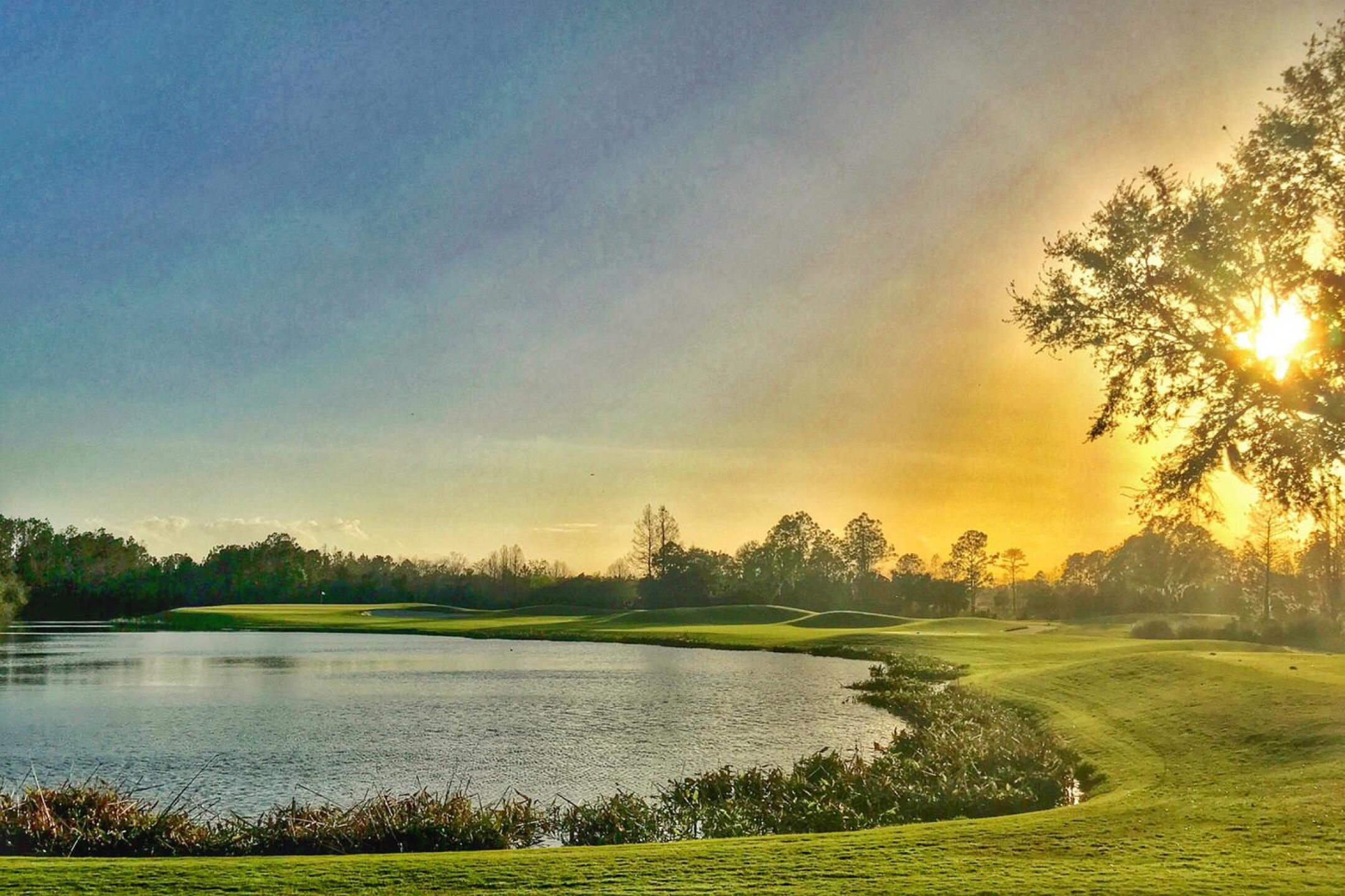 Hole 17 at LPGA International's Jones Course. (Tim Gavrich/Golf Advisor (Photo submitted by TimGavrichGP on 03/27/2018)